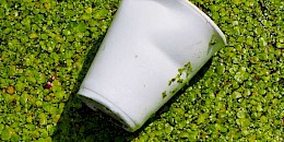 您在用正確的方式回收聚苯乙烯嗎？巨額罰款的風(fēng)險(xiǎn)擔(dān)不起